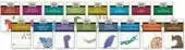 Bloom's Literary Themes Set: 16-Volumes