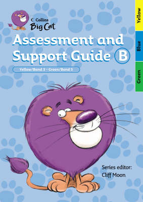 Assessment and Support Guide B