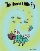 The Horrid Little Fly