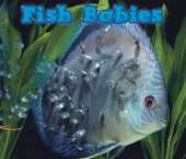 Fish Babies