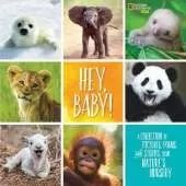 Hey, Baby!