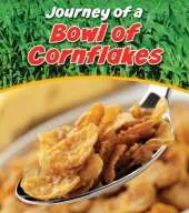 Bowl of Cornflakes