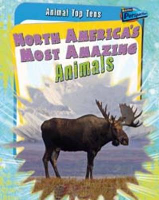 Animal Top Tens Pack B of 4