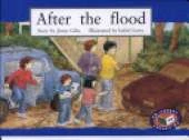 After the flood