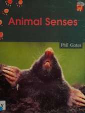 Animal Senses