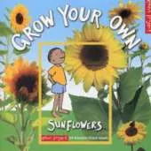 Grow Your Own Sunflowers
