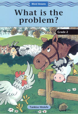 What is the Problem?
