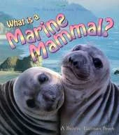 What is a Marine Mammal?