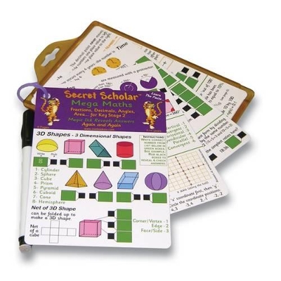 Mega Maths Secret Scholar