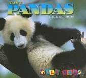 Giant Pandas