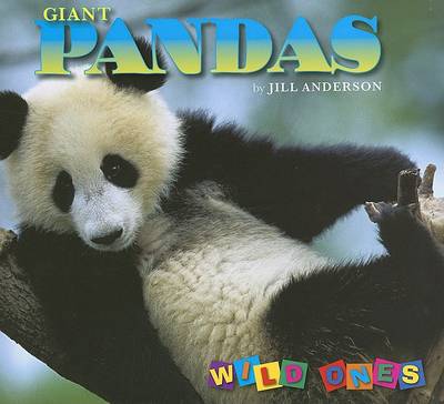 Giant Pandas