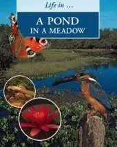 LIFE IN A POND IN A MEADOW