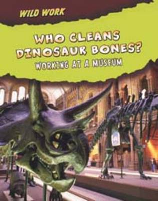 Who Cleans Dinosaur Bones?: Working at a Museum