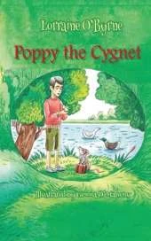 Poppy the Cygnet