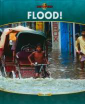 Nature's Fury: Flood