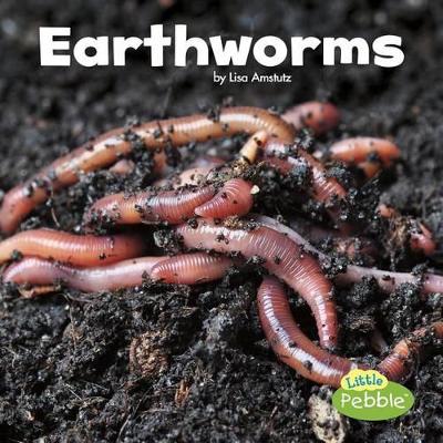 Little Critters Earthworms