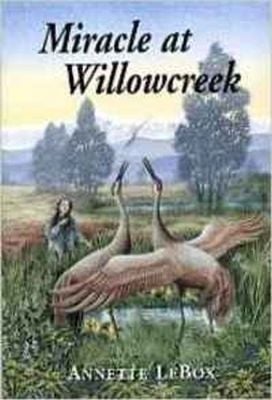 Miracle at Willowcreek