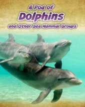 A Pod of Dolphins: and Other Sea Mammal Groups