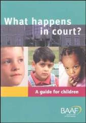 What Happens in Court?