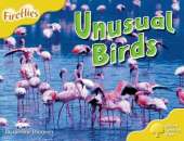 Oxford Reading Tree: Stage 5:  More Fireflies: Pack A: Odd Birds