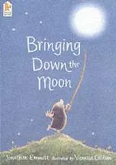 Bringing Down the Moon