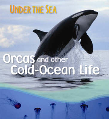 Orcas and Other Cold-ocean Life