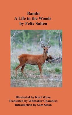 Bambi A Life in the Woods