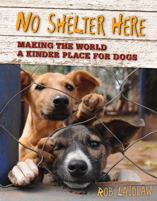 No Shelter Here: Making the World a Kinder Place for Dogs 