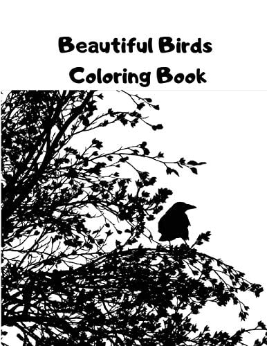 Beautiful Birds Coloring Book: The Stress Relieving Kids Coloring Pages