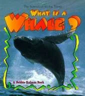 What Is A Whale
