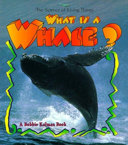What Is A Whale