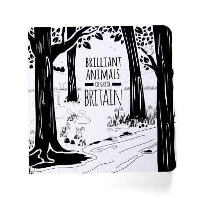 Brilliant Animals of Great Britain: The Little Black & White Book Project