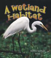Wetland Habitat