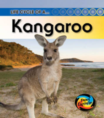 Life Cycle of a Kangaroo