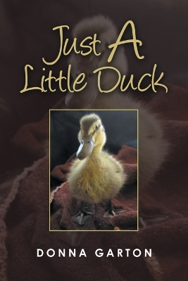 Just a Little Duck