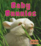 Baby Bunnies