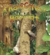 Rainforest Habitat