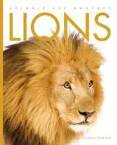Animals Are Amazing: Lions
