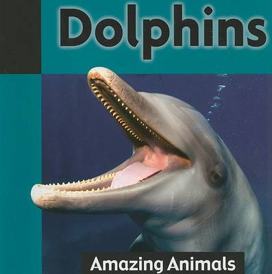 Dolphins