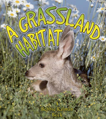 Grassland Habitat
