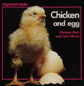 Chicken and Egg