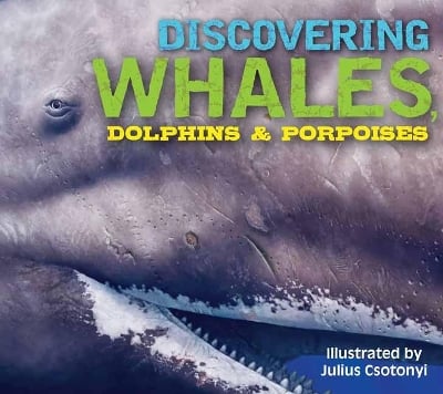 Discovering Whales, Dolphins and   Porpoises: The Ultimate Guide to the Ocean's Largest Mammals