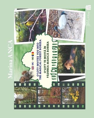 O'Loty Invites You Into the Magical Forest Boreea: O'Loty te invita in padurea magica Boreea
