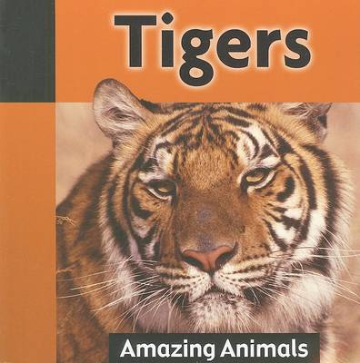 Tigers
