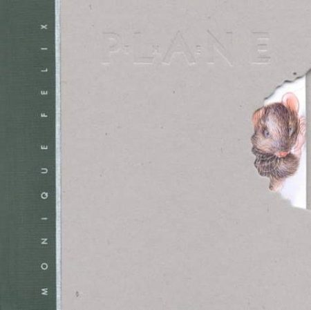 The Plane