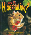 What is Hibernation
