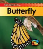 Life Cycle of a Butterfly