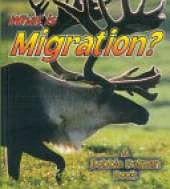 What is Migration