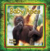 Baby Apes