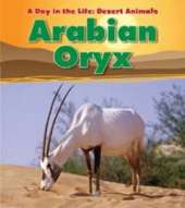 A Desert Animals Pack A of 4